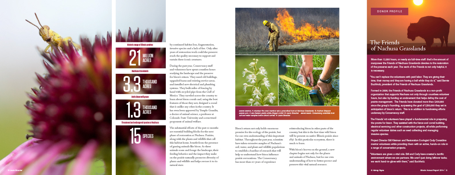 Fourth spread from the 2015 annual report