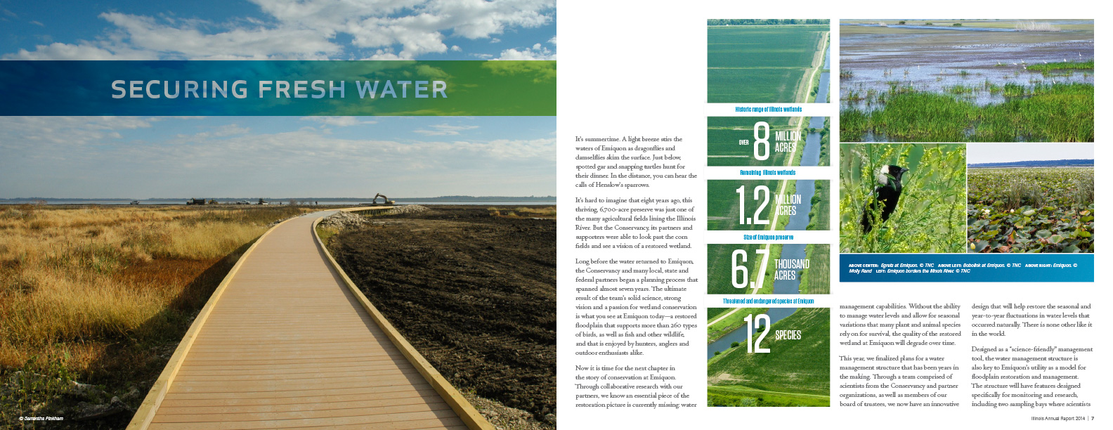 Fifth spread from the 2015 annual report