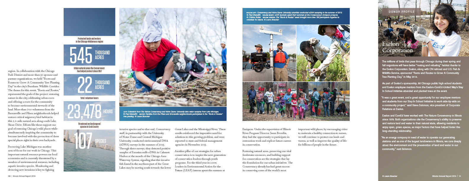 Seventh spread from the 2015 annual report