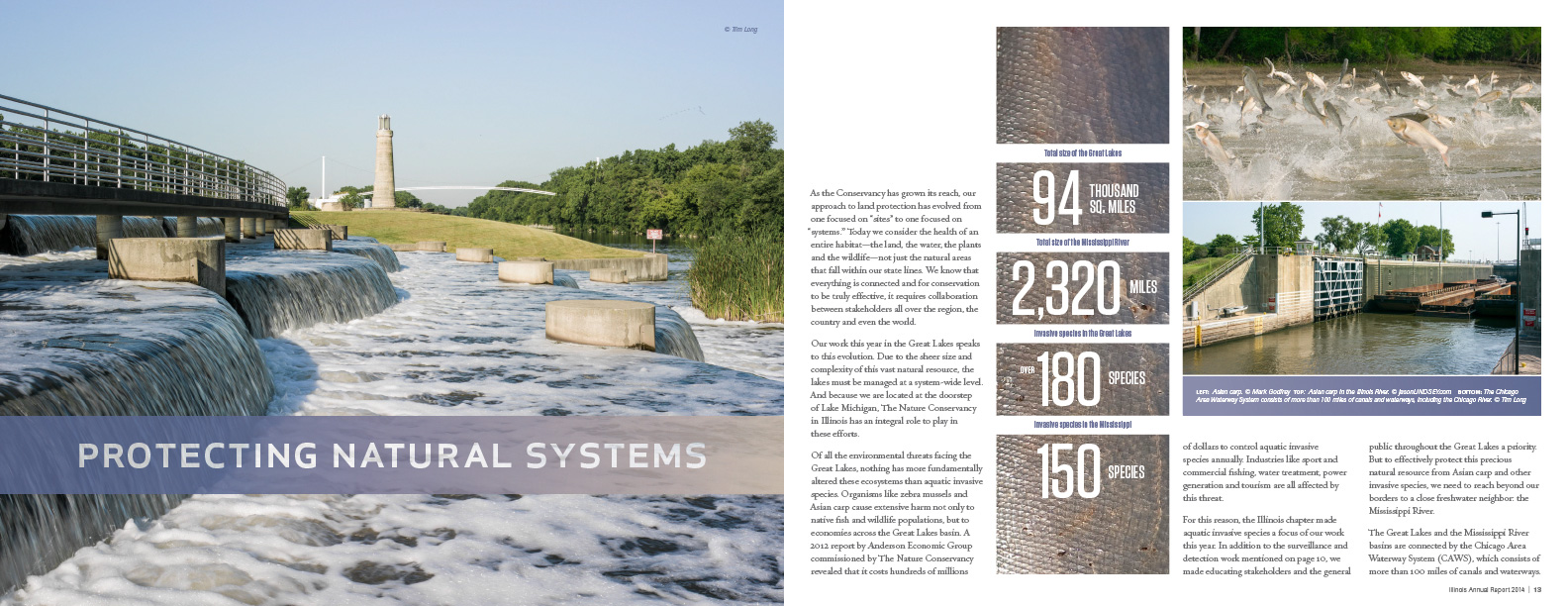 Eigth spread from the 2015 annual report