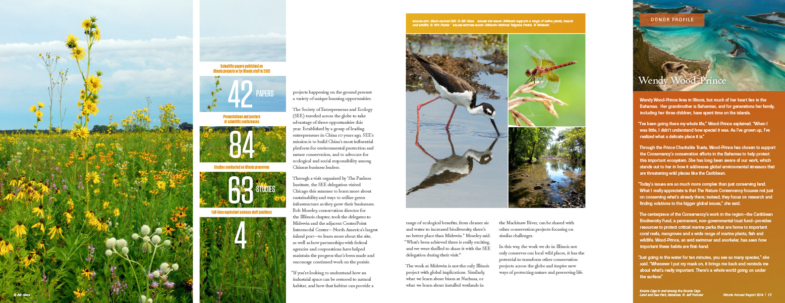 Ninth spread from the 2015 annual report